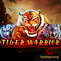 spadegaming game