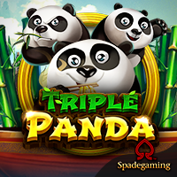 spadegaming game